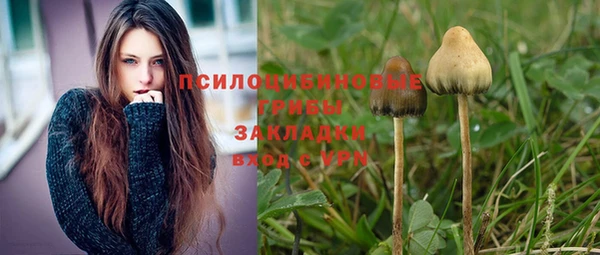 трава Арсеньев