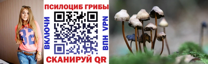 Галлюциногенные грибы MAGIC MUSHROOMS  Гурьевск 